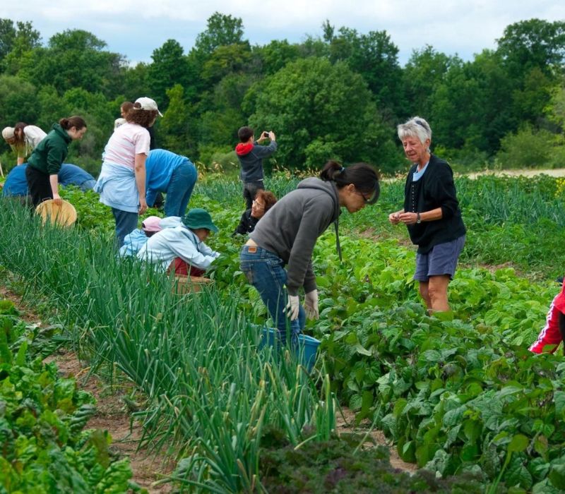 Farmstay là gì? Điểm danh 8 farmstay đáng thử nhất tại Việt Nam 6