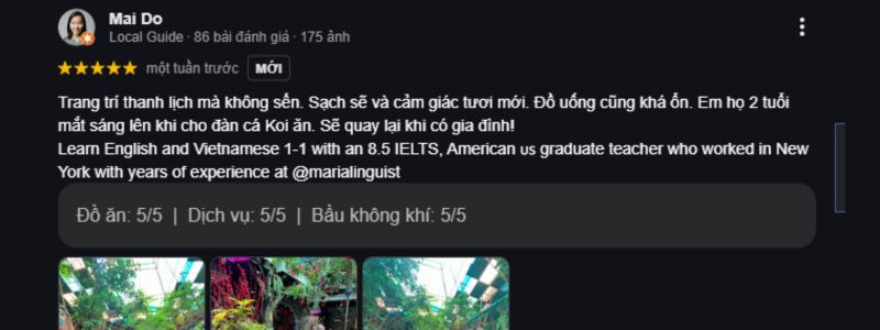 Khám phá Oasis Cafe: Một góc thiên nhiên giữa lòng thành phố 8