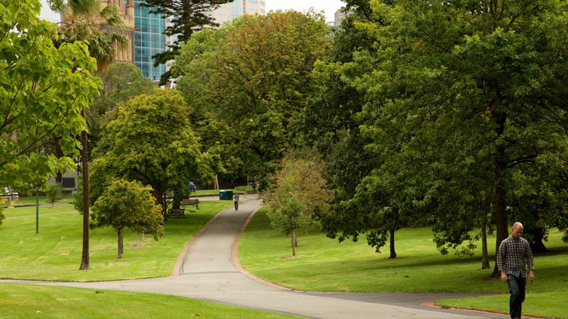 Khám phá Fitzroy Gardens, trái tim xanh của thành phố Melbourne 2
