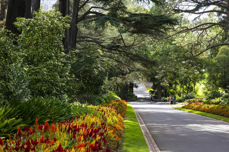 Khám phá Fitzroy Gardens, trái tim xanh của thành phố Melbourne 8