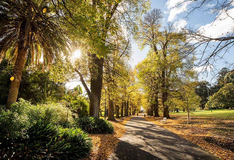 Khám phá Fitzroy Gardens, trái tim xanh của thành phố Melbourne 3