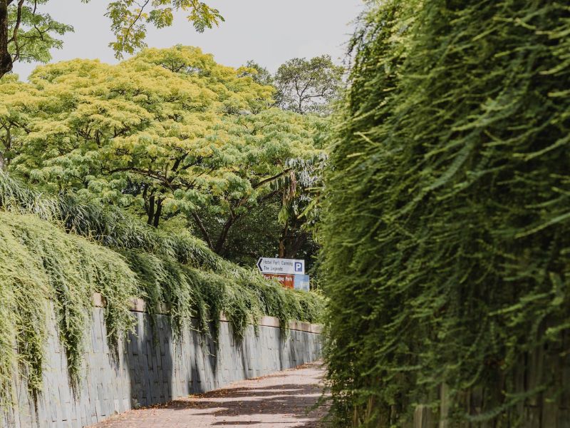 Fort Canning Park, công viên sống ảo đặc sắc nhất đảo sư tử 2