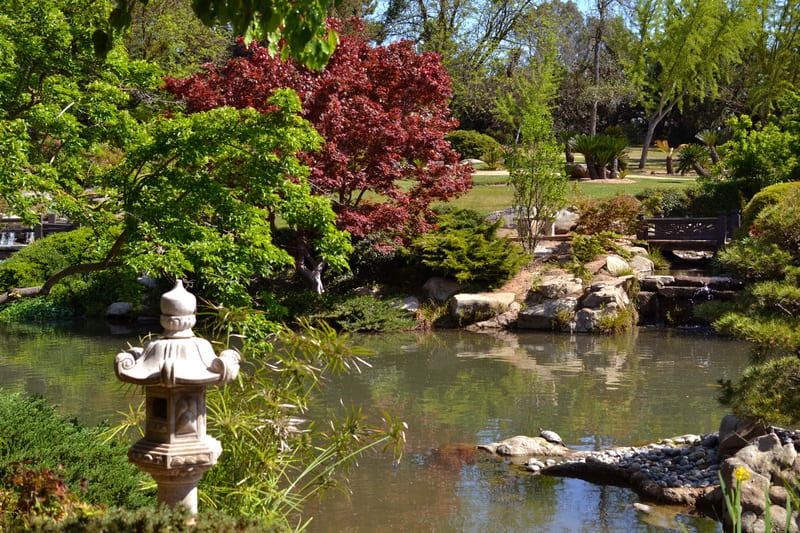 Trải nghiệm Fresno sân chơi quanh năm của California 8