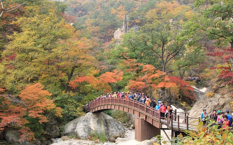 Gangwon Hàn Quốc: Những trải nghiệm nhất định phải thử 5