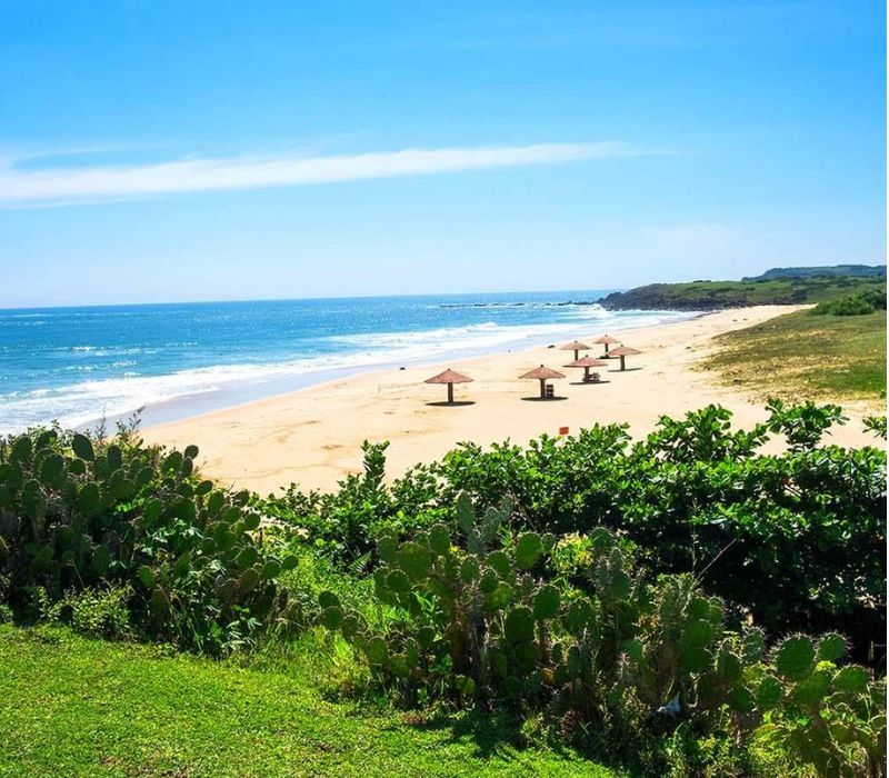 Gành Ông: Khám phá thiên đường hoa vàng trên cỏ xanh từ A - Z 2