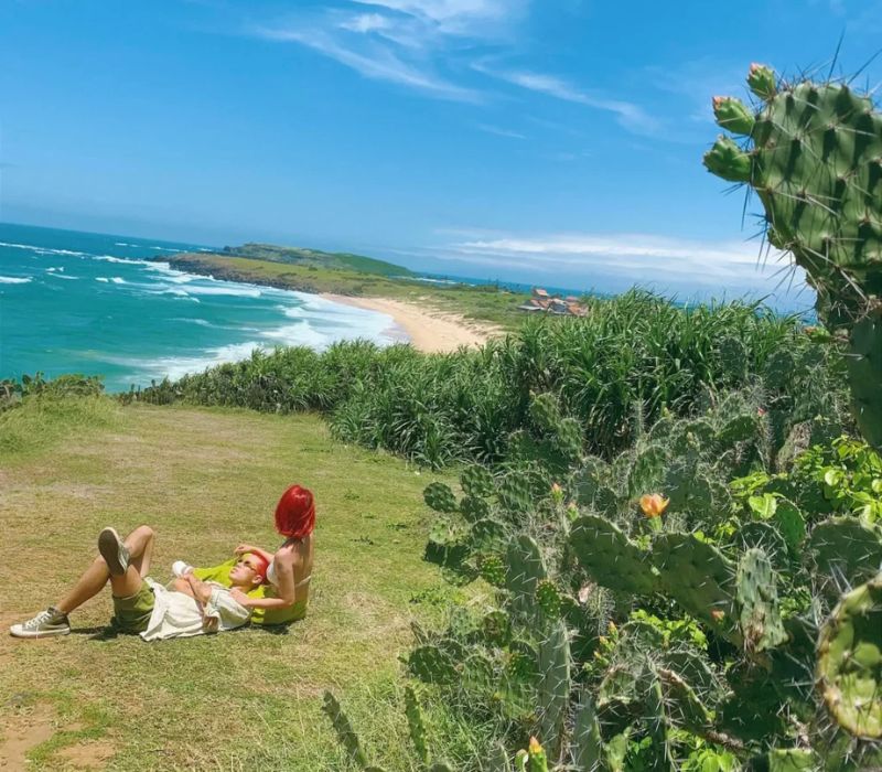 Gành Ông: Khám phá thiên đường hoa vàng trên cỏ xanh từ A - Z 4