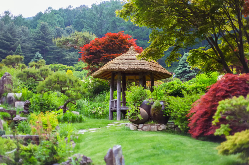 Thưởng ngoạn The Garden of Morning Calm, khu vườn mộng mơ như cổ tích 6