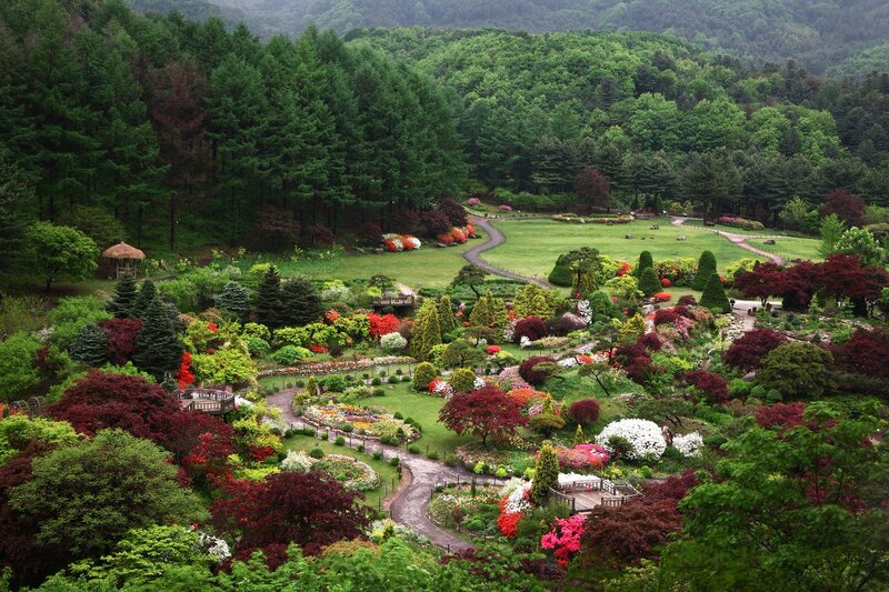 Thưởng ngoạn The Garden of Morning Calm, khu vườn mộng mơ như cổ tích 11