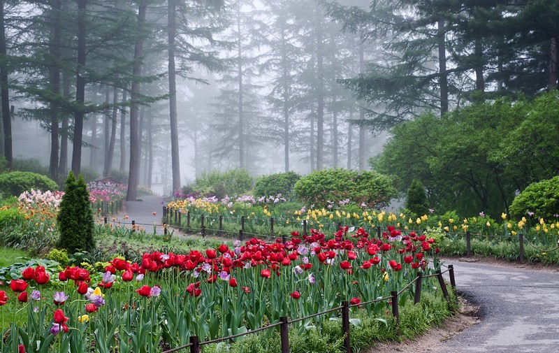 Thưởng ngoạn The Garden of Morning Calm, khu vườn mộng mơ như cổ tích 15