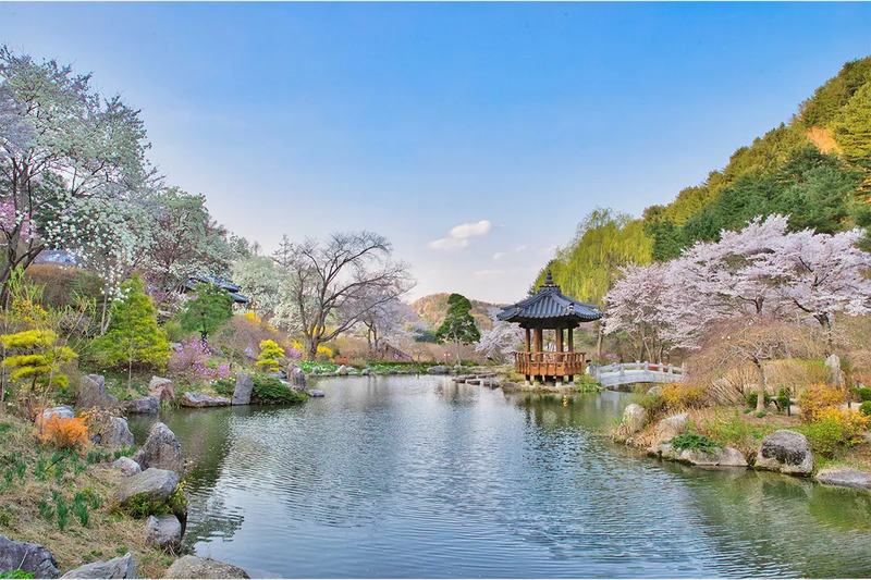 Thưởng ngoạn The Garden of Morning Calm, khu vườn mộng mơ như cổ tích 13