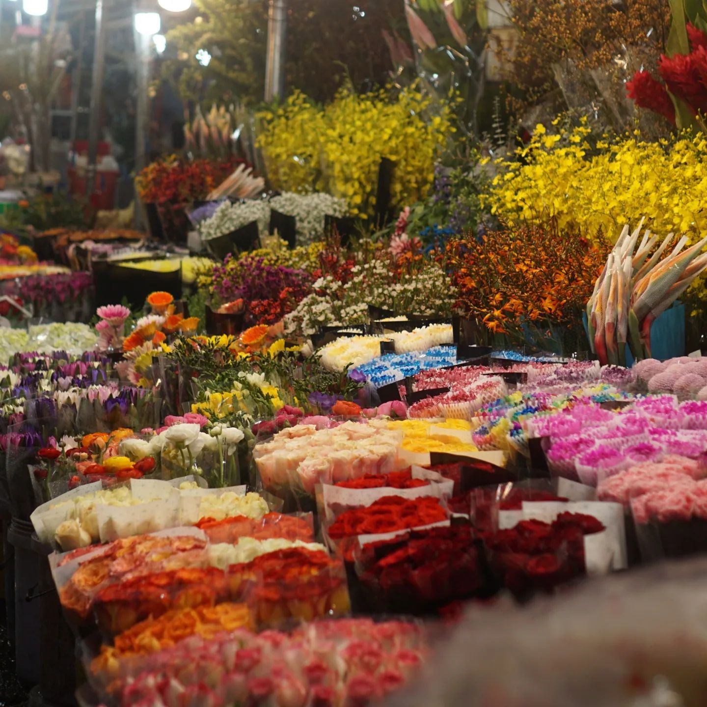 Ghé Chợ hoa Quảng Bá để trải nghiệm nếp sống thú vị giữa lòng thủ đô 3
