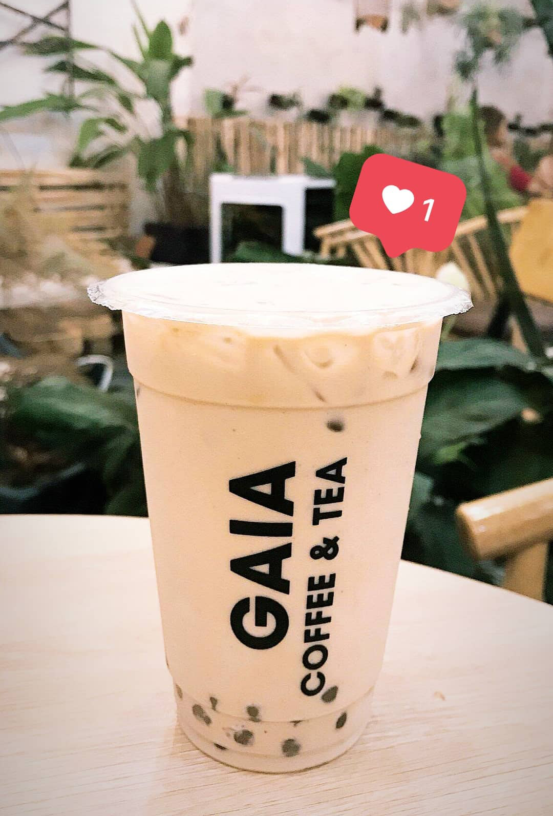 Ghé GAIA Coffee & Tea thưởng thức hương vị trà sữa đậm đà 8