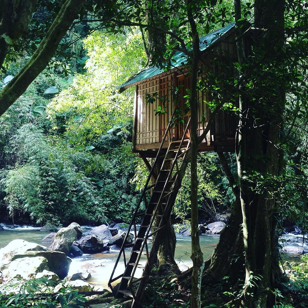 Ghé Ngôi nhà trên cây Dambri hòa mình vào núi rừng Tây Nguyên đại ngàn 7