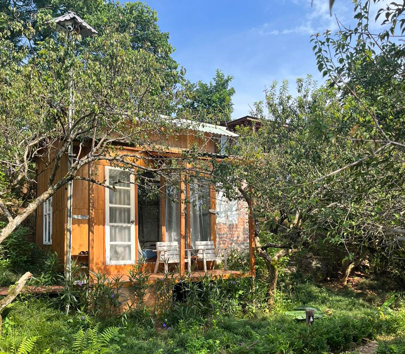 Ghé thăm MAMA's House, ngôi nhà gỗ bé xinh bên sườn đồi