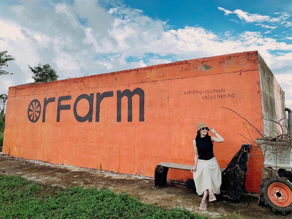 Ghé thăm Vườn cam Orfarm Măng Đen, trải nghiệm làm nông dân đích thực 2