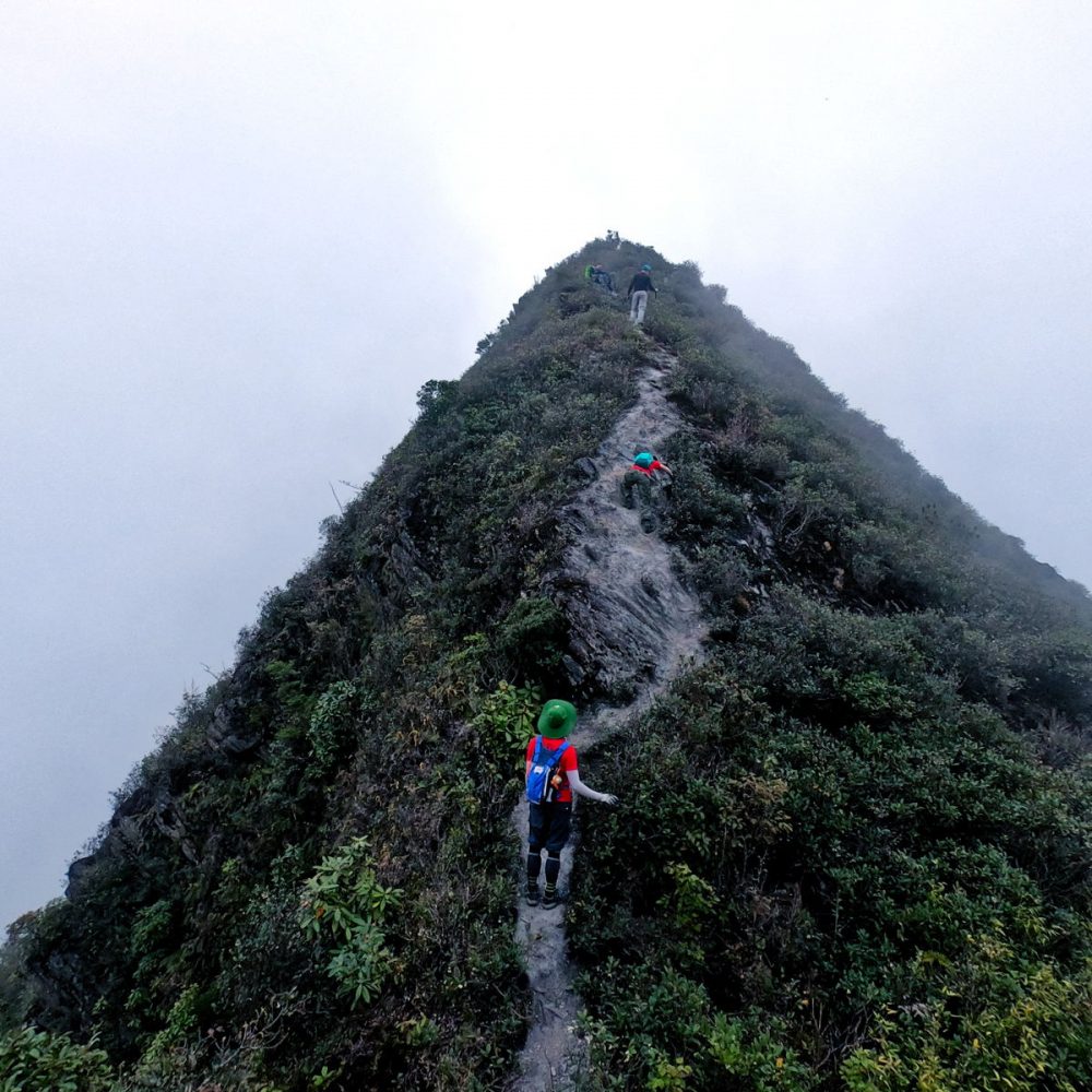 Ghim liền tay Kinh nghiệm trekking Tà Xùa - Yên Bái dành cho team mê phượt 11