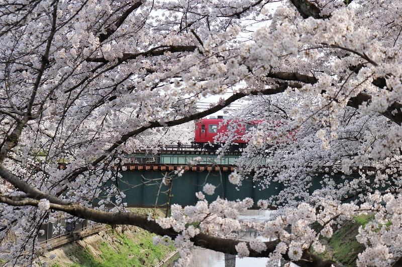 Gifu Nhật Bản: Vẻ đẹp hài hòa giữa thiên nhiên và lịch sử 15