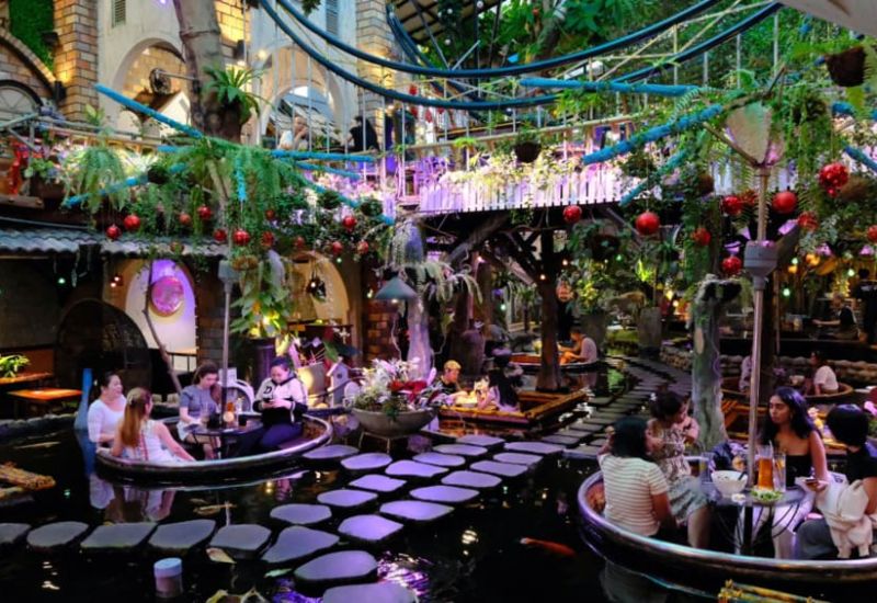 Khám phá Oasis Cafe: Một góc thiên nhiên giữa lòng thành phố 2