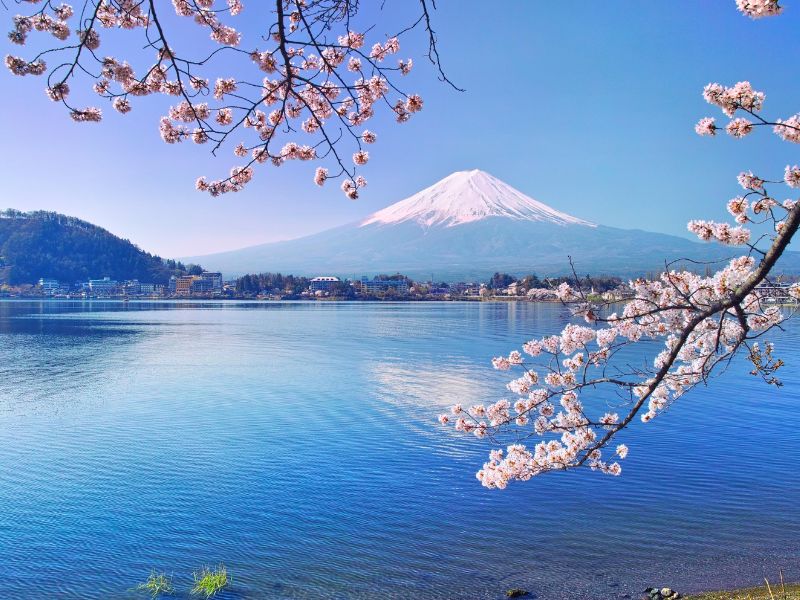 Vẻ đẹp thơ mộng của hồ Kawaguchi: Chuyến du ngoạn không thể bỏ qua 2