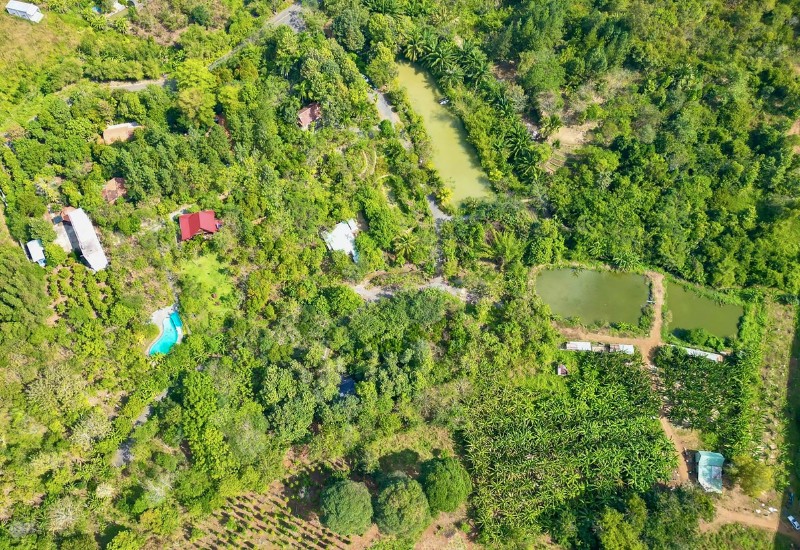Suối Rao Ecolodge: Nơi tìm lại sự an yên, thư giãn nhất 2