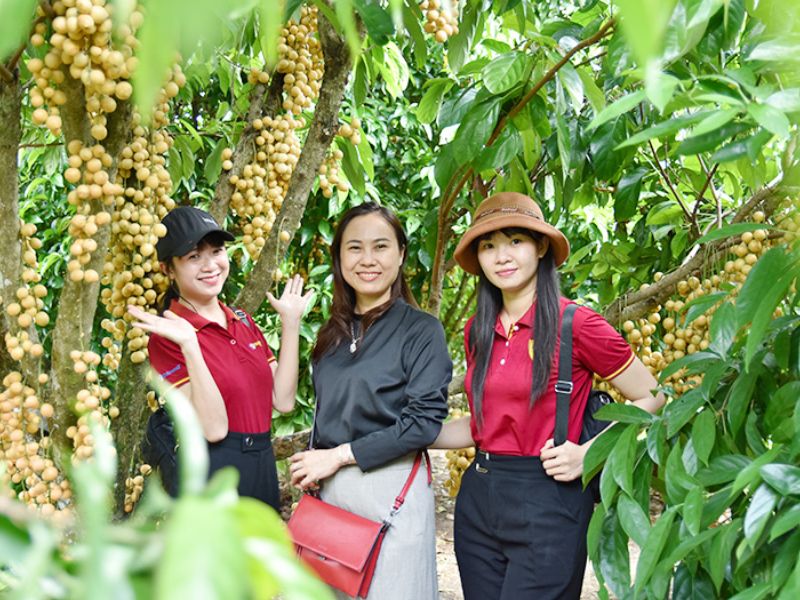 Du lịch Giồng Riềng Kiên Giang: Về miền quê yên bình xứ Tây sông Hậu 7