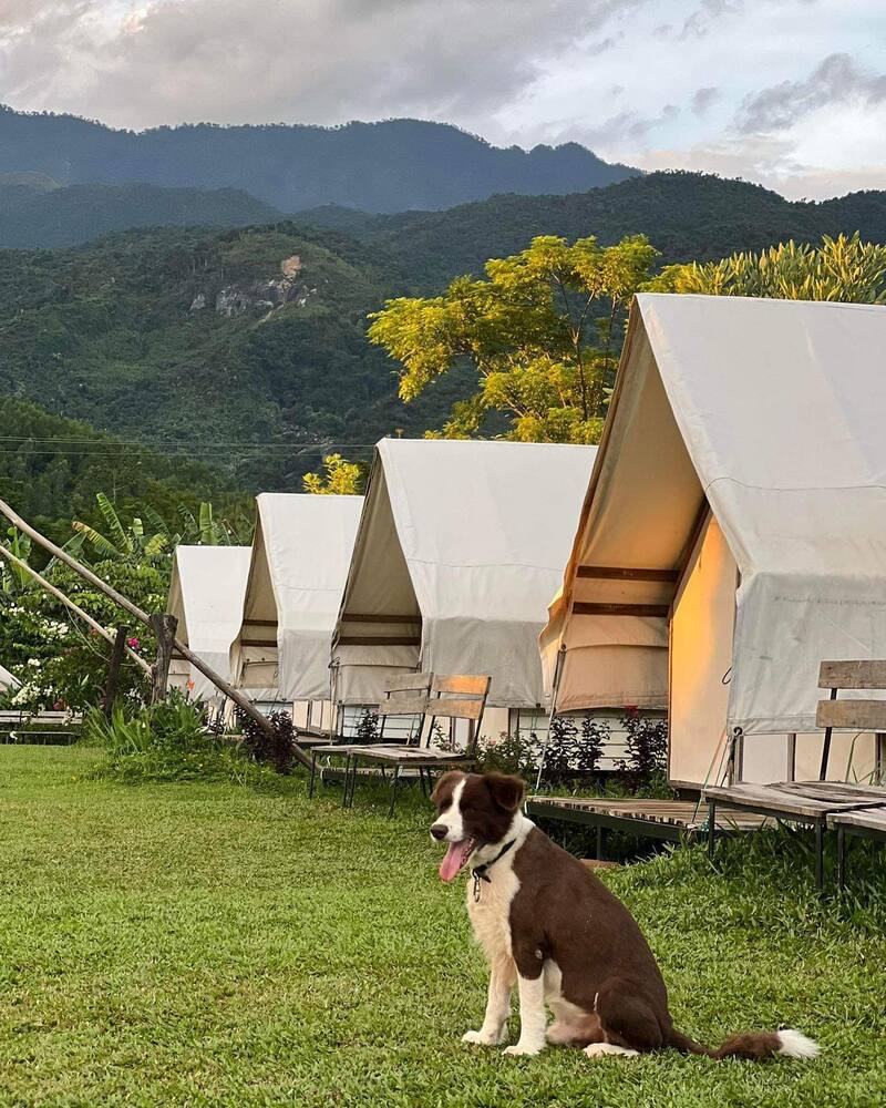 Top 6 khu glamping Đà Nẵng cho bạn hòa mình thiên nhiên 4