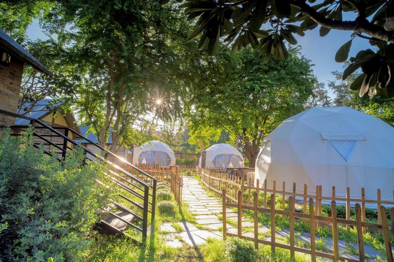 Vi vu tại top 8 glamping gần Sài Gòn cực chill 6