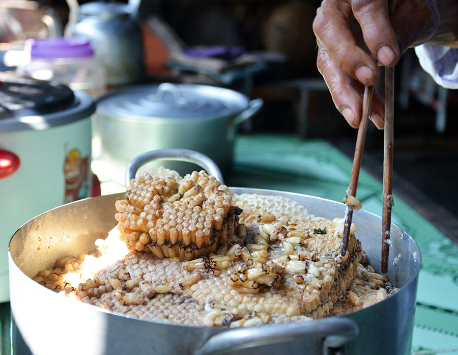 Gỏi nhộng ong rừng U Minh, đặc sản quý hiếm ở miệt rừng tràm 4