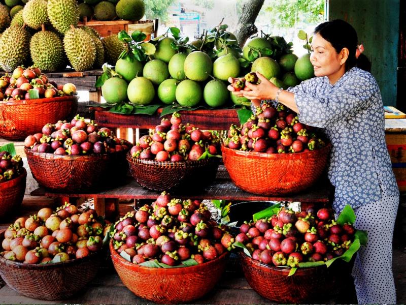 Gợi ý lịch trình 1 ngày khám phá vườn trái cây Lái Thiêu cực vui 9