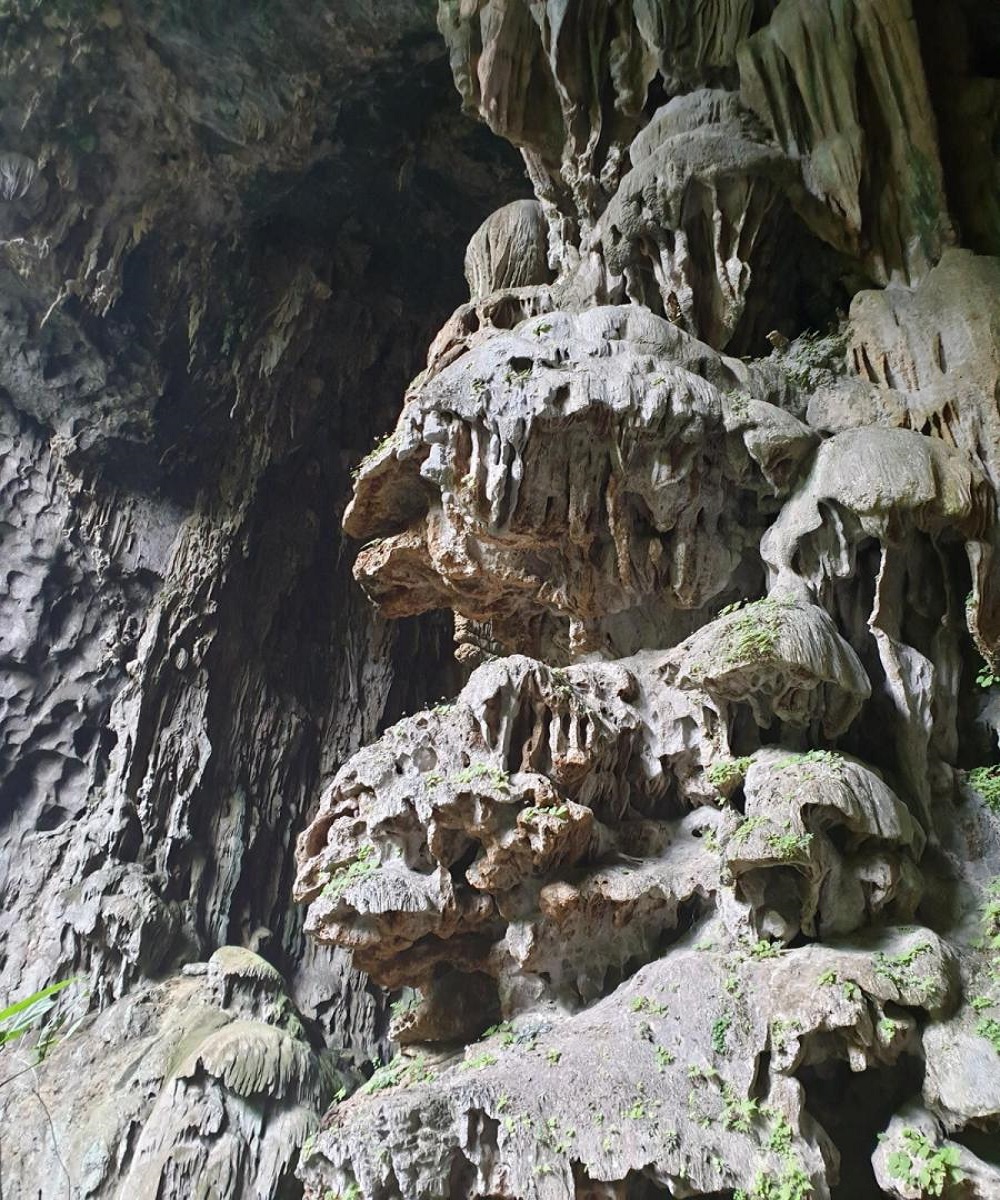 Gợi ý Lịch trình khám phá hang Voi Thung lũng Ma Đa Quảng Bình 3