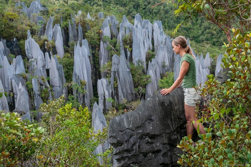 Khám phá viên ngọc quý Gunung Mulu được UNESCO vinh danh 3