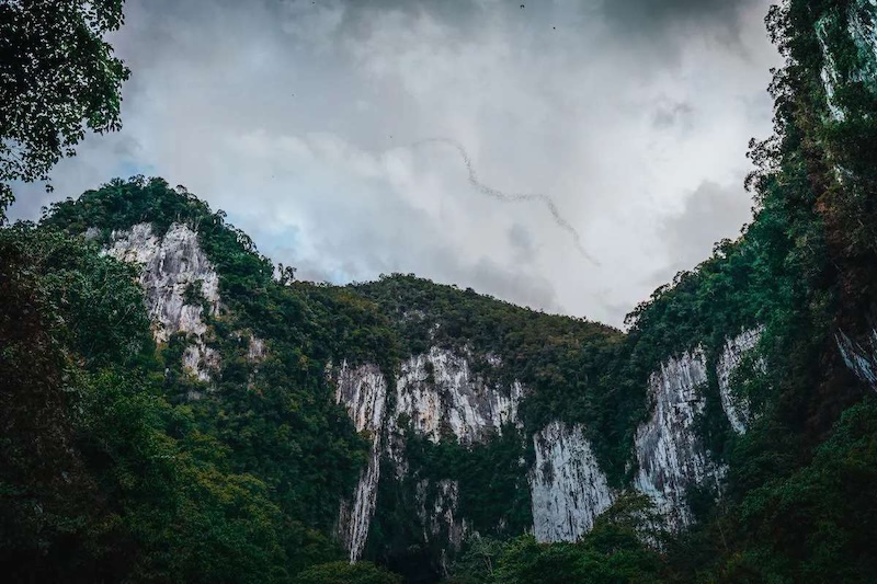 Khám phá viên ngọc quý Gunung Mulu được UNESCO vinh danh 6