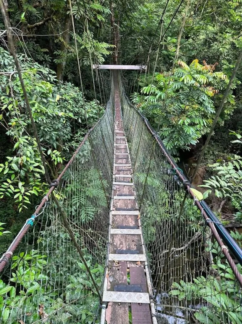 Khám phá viên ngọc quý Gunung Mulu được UNESCO vinh danh 7