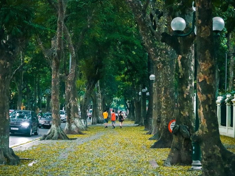 Hà Nội 12 mùa hoa: Vẻ đẹp đặc trưng của thủ đô qua mỗi tháng 8