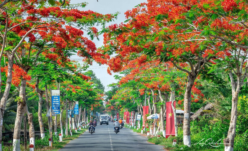 Hải Phòng tháng 5, hành trình khám phá thành phố hoa phượng đỏ 8