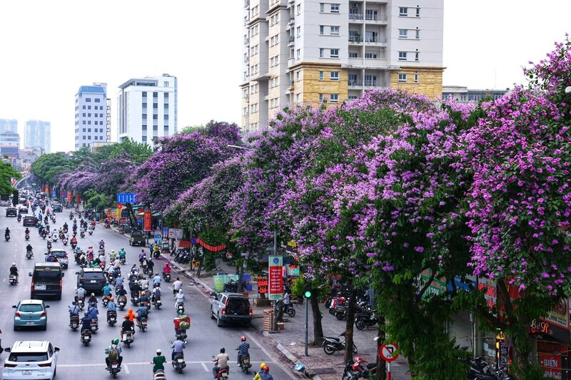 Kinh nghiệm du lịch Hà Nội tháng 5 giữa mùa hè rực rỡ 9