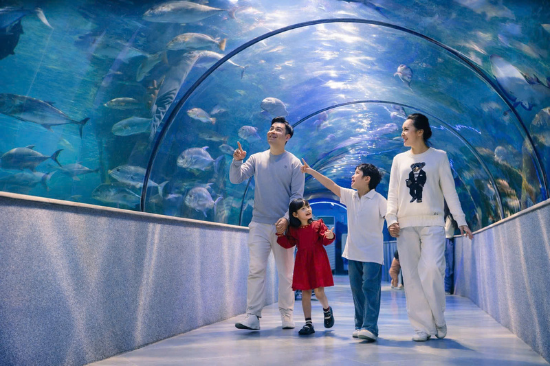 Kinh nghiệm du lịch Hà Nội tháng 5 giữa mùa hè rực rỡ 6