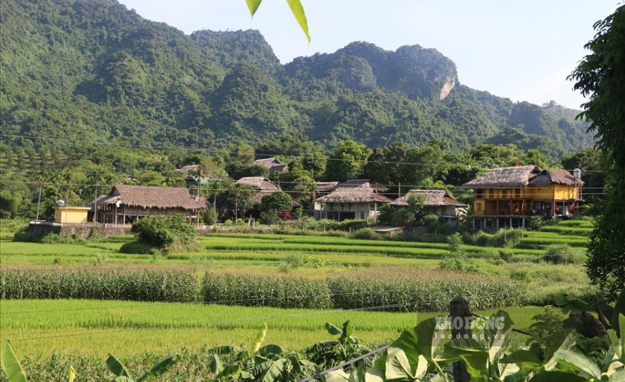 Hạ Thành homestay Hà Giang, khu nghỉ dưỡng đầy mộng mơ