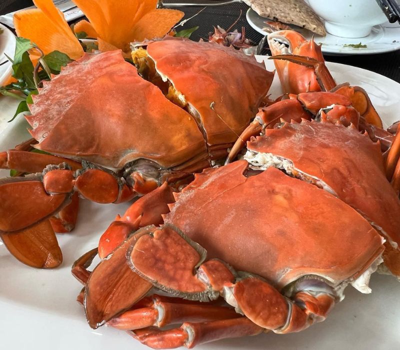 Hải đăng Cù Lao Xanh, mắt thần trăm tuổi giữa lòng Quy Nhơn 8