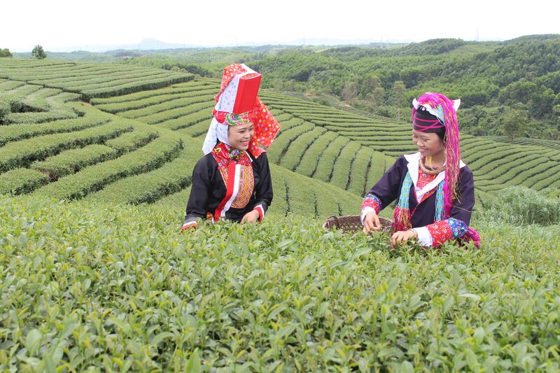 Review Hải Hà Quảng Ninh một miền núi biên giới đầy thú vị 3