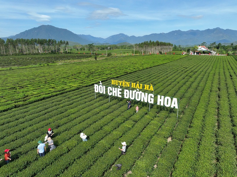 Review Hải Hà Quảng Ninh một miền núi biên giới đầy thú vị 5
