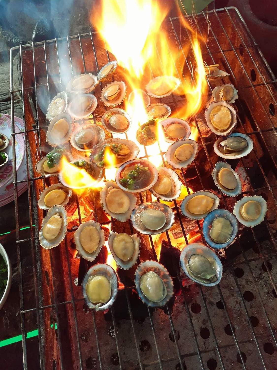 Hải sản bè nổi Vũng Rô Phú Yên – Muôn vàn món ngon với hương vị đậm đà, hấp dẫn 14