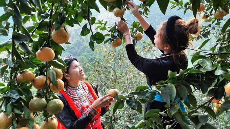 Hàm Yên Tuyên Quang, một thế giới hoang sơ và kỳ vĩ 2