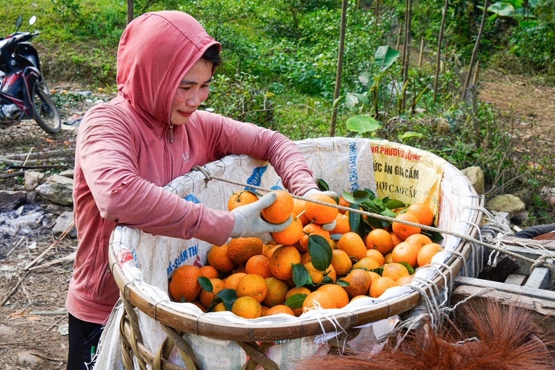 Hàm Yên Tuyên Quang, một thế giới hoang sơ và kỳ vĩ 10