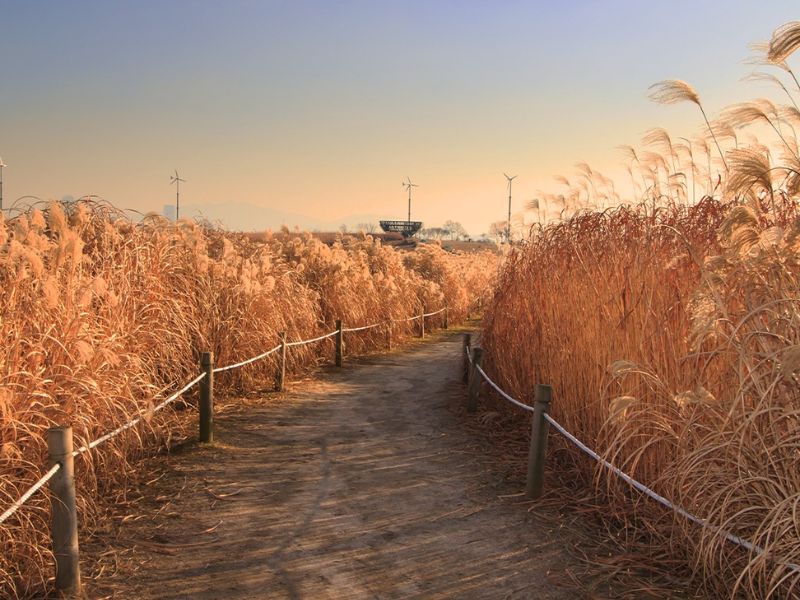 Khám phá Haneul Park: Viên ngọc xanh trên đỉnh Seoul 5