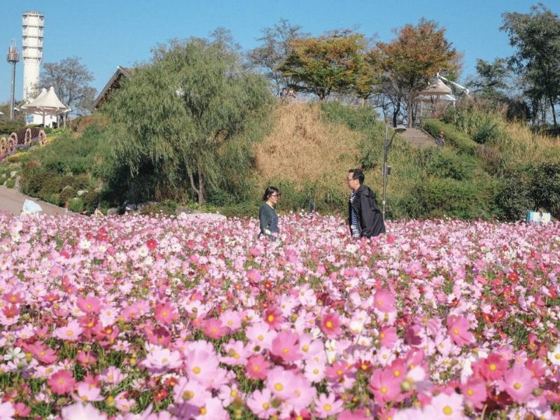 Khám phá Haneul Park tại Hàn Quốc