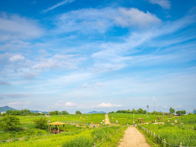 Khám phá Haneul Park: Viên ngọc xanh trên đỉnh Seoul 8