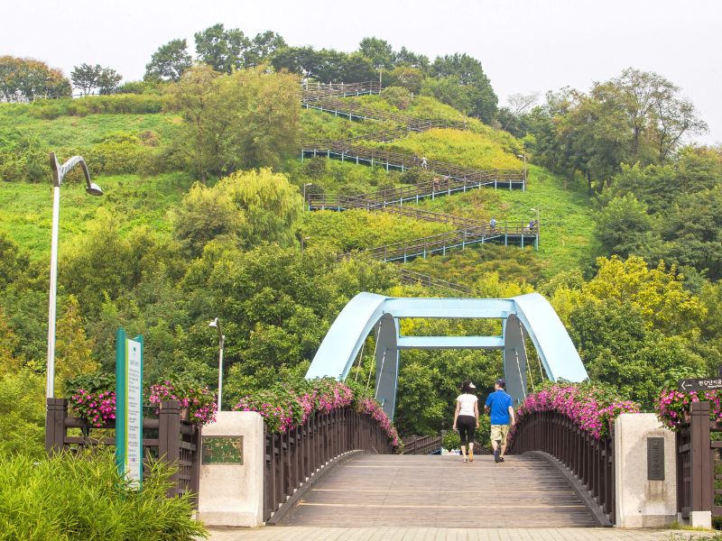 Khám phá Haneul Park: Viên ngọc xanh trên đỉnh Seoul 6