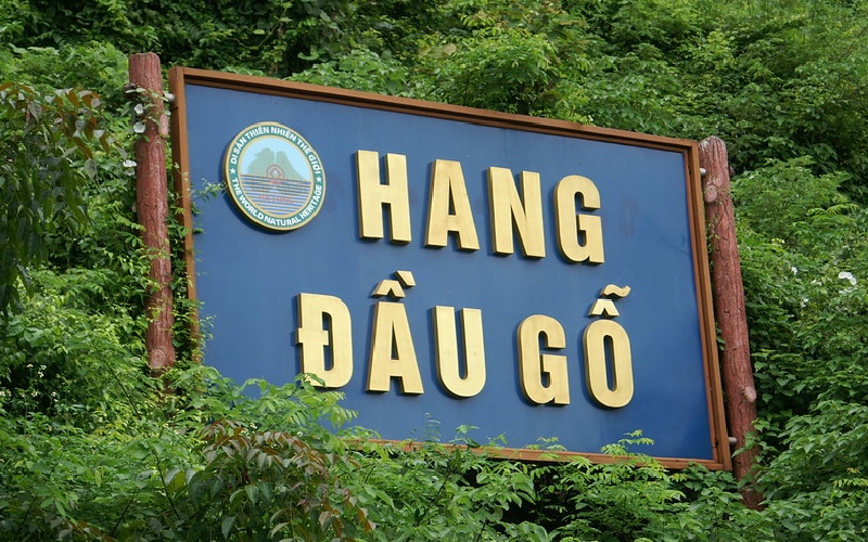 Khám phá hang Đầu Gỗ huyền bí giữa lòng vịnh Hạ Long 2