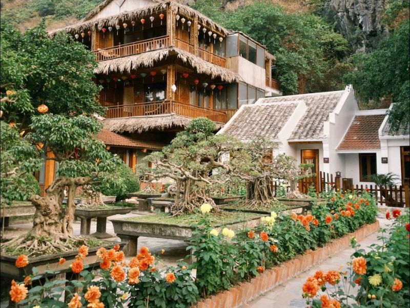 Hang Múa Ecolodge: Khu nghỉ dưỡng lý tưởng dưới chân núi Ngọa Long 2